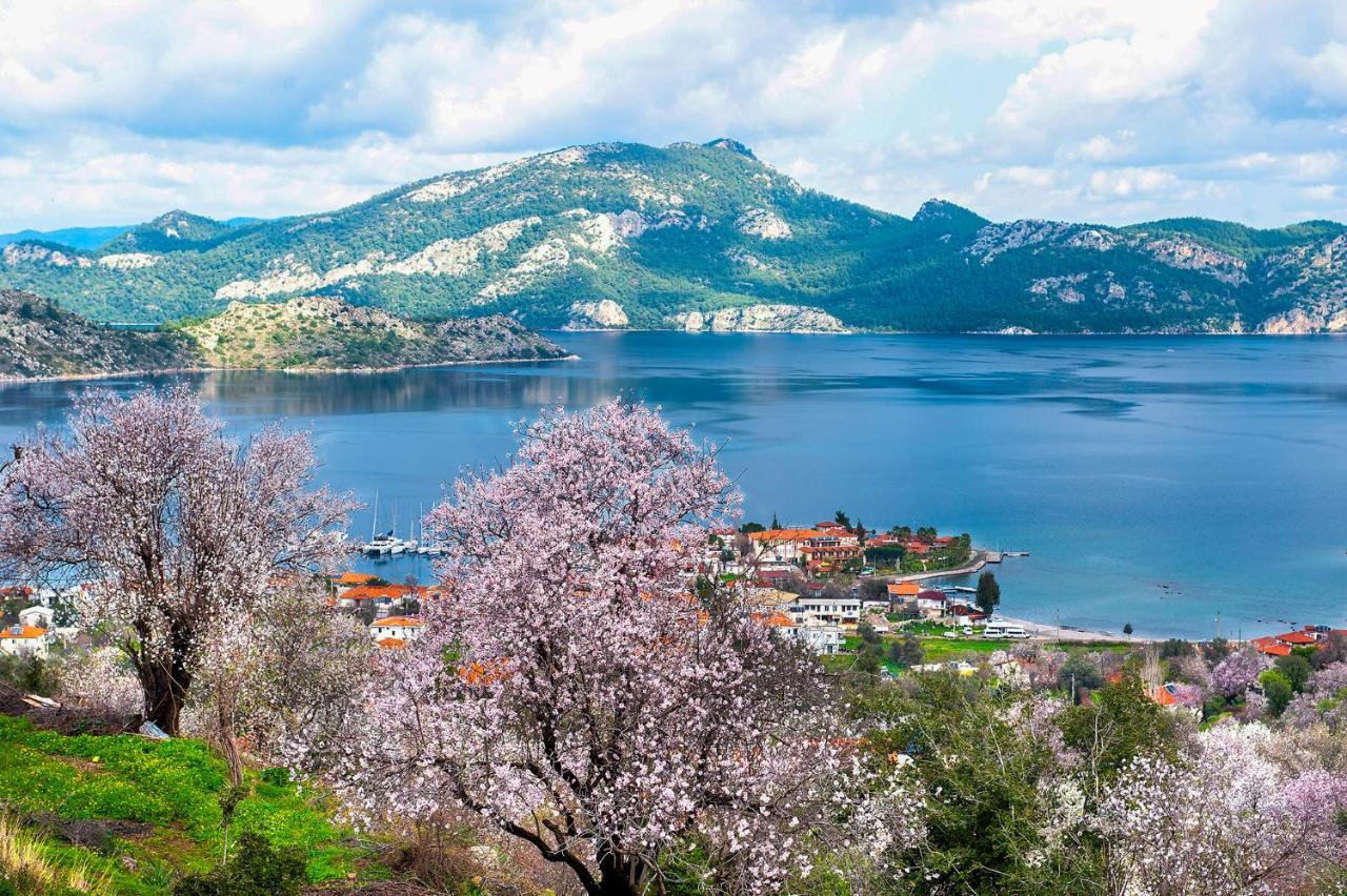 Swan Lake Hotel - Adult Only Σελιμιγιέ Εξωτερικό φωτογραφία